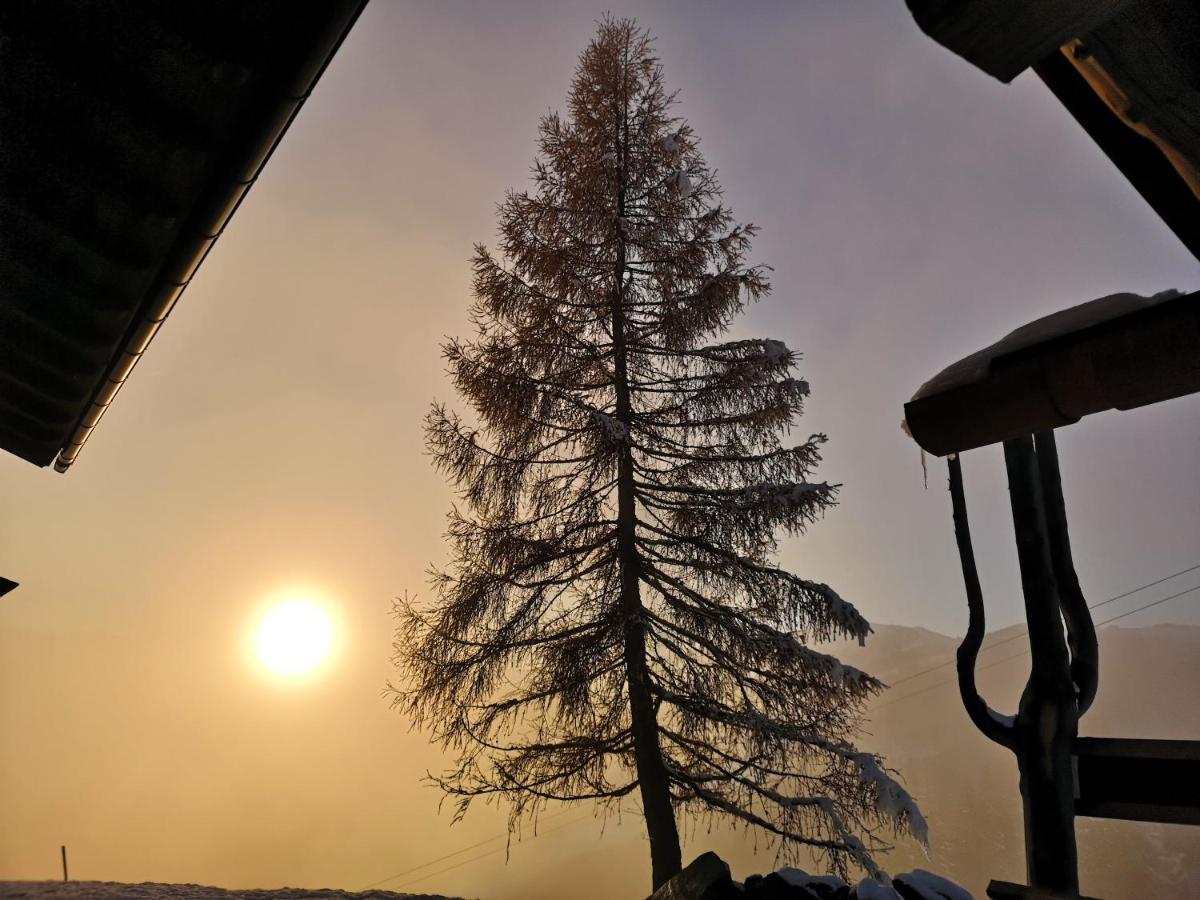 Sinnlehen Alm Saalbach-Hinterglemm Exterior foto