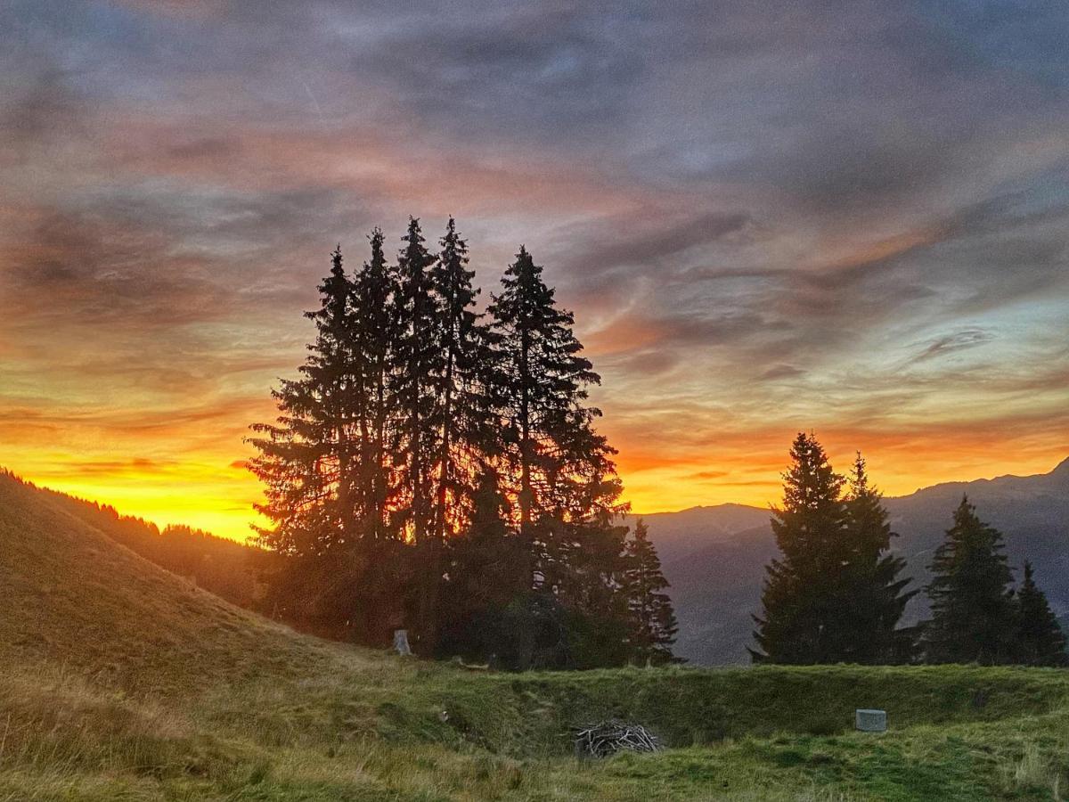 Sinnlehen Alm Saalbach-Hinterglemm Exterior foto